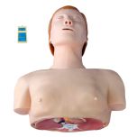 manequim torso rcp