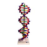 Dupla Helice DNA 40cm