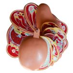torso em disco
