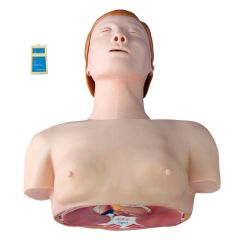manequim torso rcp