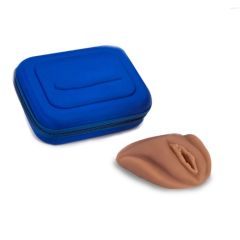 estojo reprodutor feminino vulva