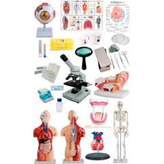 kit laboratório roster