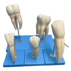 kit dentes
