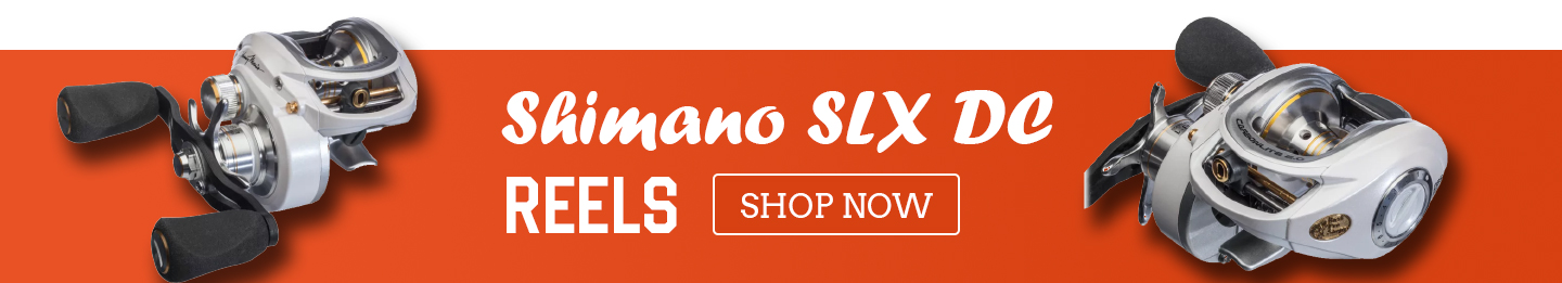 Main Content Banner